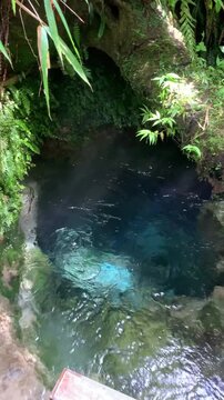 Clear blue spring water in green forest, Odemizu, Kirishima, Japan