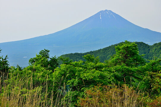 御坂山地　若彦路街道古道の大石峠より望む初夏の富士山
