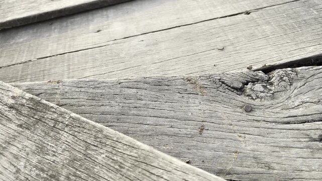 Macro Weathered Wood Plank Texture with Rough Natural Grain and Fractures