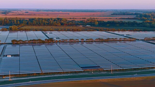 Solar panel arrays, aerial view beside farmland and a roadside tree belt. Parallel blue rows fill the foreground, with brown plots and a pale pink horizon beyond.