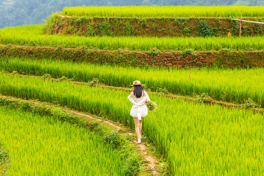Picturesque Mu Cang Chai rice terraces on mountain slopes in Vietnam.