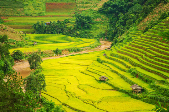 Picturesque rice terraces of Mu Cang Chai on mountain slopes in Vietnam.