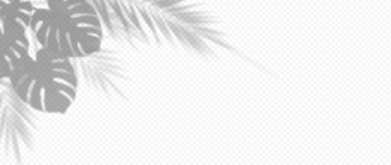 Fototapeta premium Easy-to-edit vector layers. Shadow overlay of monstera and palm leaves. Useful for mockups and editorial layouts. Five separate layers make the artwork easy to adapt to different designs.