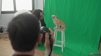 Man shooting small chihuahua on wooden stool in studio with green screen backdrop, hand outstretched to dog  pet bonding playful. © Krakenimages.com