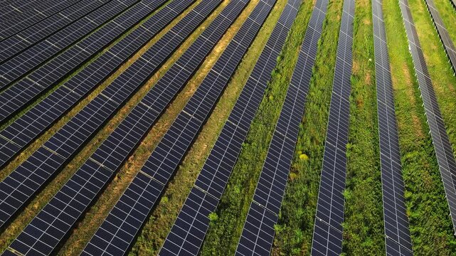 Aerial view of a solar farm producing renewable energy with photovoltaic panels collecting sunlight in a green field