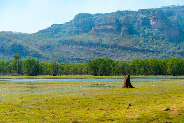 Anbangbang Billabong in Kakadu National Park - Australian Northern Territory © Adwo