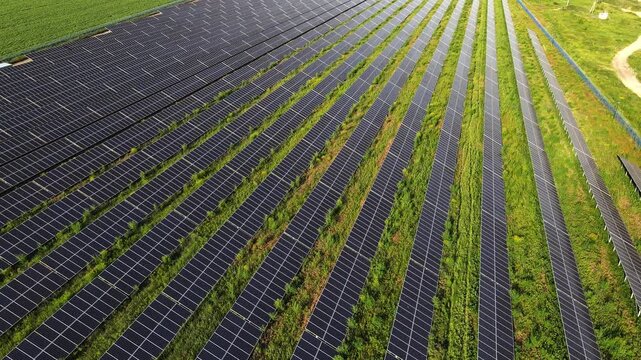 Aerial view of solar panels generating renewable energy at a photovoltaic power plant in a green field at sunset