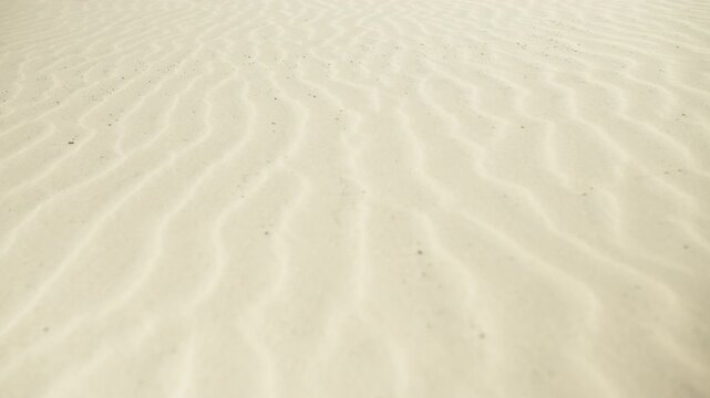 Underwater sand ripples moving with gentle ocean currents on a shallow seafloor with sunlight caustics creating a mesmerizing pattern