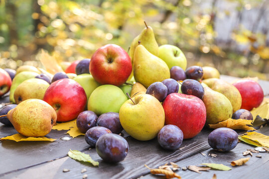 Fresh organic autumn harvest of red apples, green pears, and purple plums on dark rustic wooden table with yellow leaves, fall fruit composition