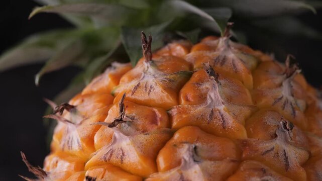 Close-up rotating shot of pineapple skin texture with leaves on a dark studio background.	