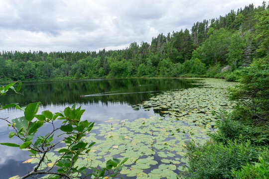 Idyllic nature in Quebec, Baie-Comeau