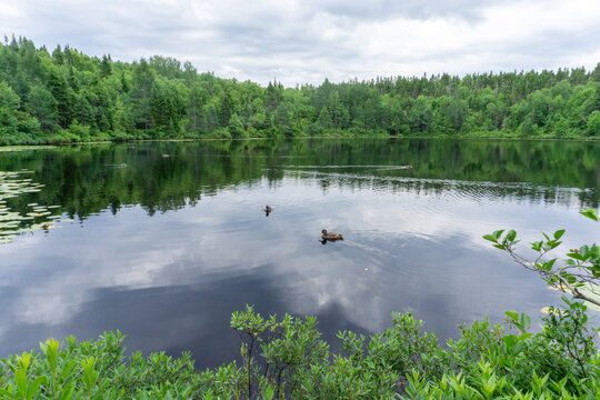 Idyllic nature in Quebec, Baie-Comeau