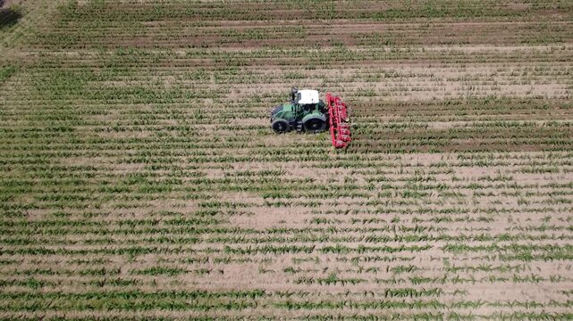 Drone Flyover of Tractor Cultivating Young Corn Rows