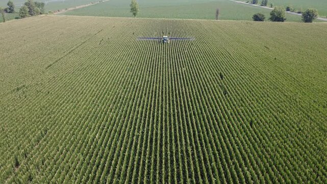 Drone follows self propelled crop sprayer through corn field