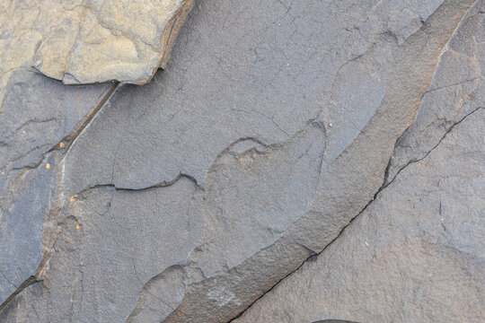 Close up of natural grey shale rock texture with layered geological formations and cracks, background, texture