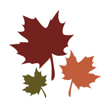 Three Autumn Maple Leaves in Red Orange and Green Isolated Illustration