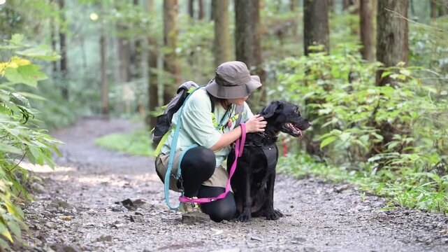 愛犬の大型犬と登山を楽しむ飼い主の全身カメラ目線で座る、森林の中アウトドアやトレッキングのレジャーイメージの動画