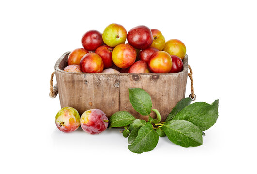 Fresh plum fruits in rustic wooden basket with green leaves. Autumn harvest crops. Isolated on white background.