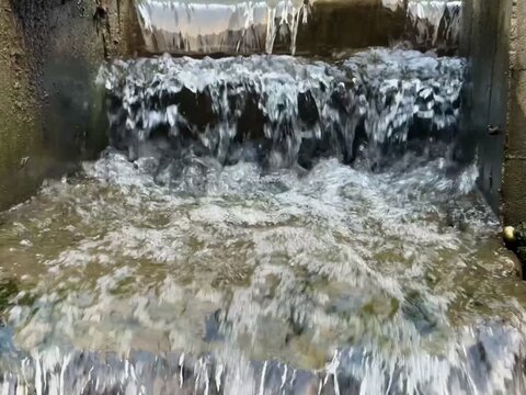 waterfall in the forest