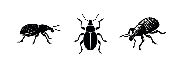 Set of Weevil Beetle Silhouettes Illustration © Lili
