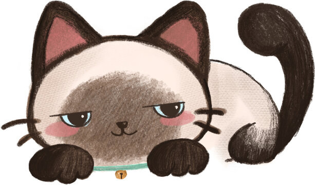 Siamese Cat Sleep Cute Hand Drawn Colored Pencil