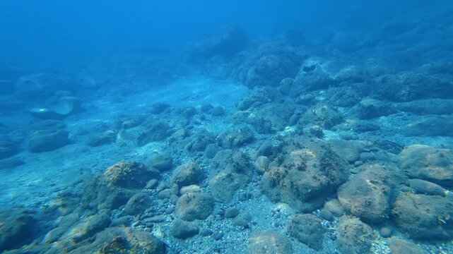Rocky seabed beneath clear blue water
