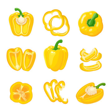 Yellow bell pepper stock vector illustration