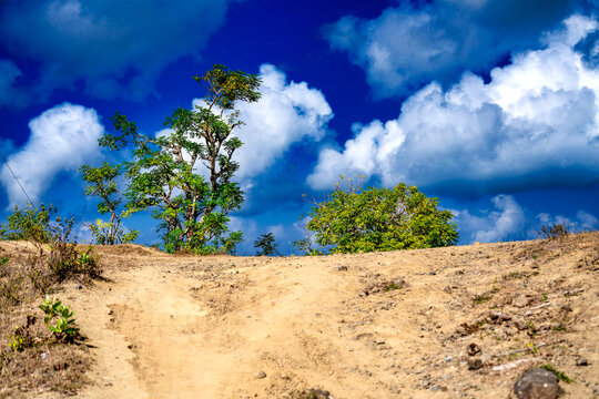 Sunny rural landscape in Lombok Indonesia with farmland and tropical scenery