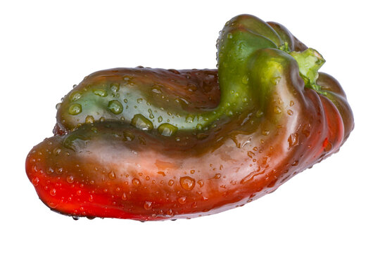A single organic Pimiento Morron bell pepper is shown with water droplets on its surface. It is isolated on a plain white background. The pepper displays multiple colors and a glossy finish.