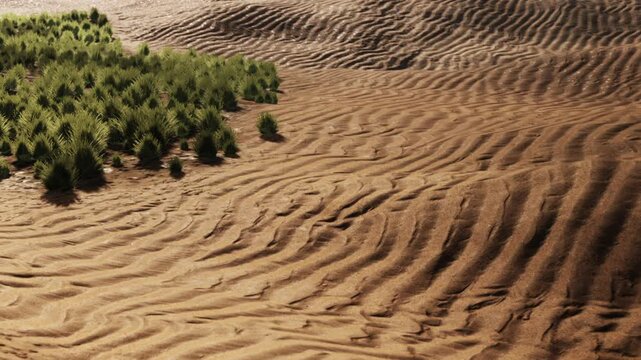Waves of golden sand stretch across the landscape, beautifully marked by gentle grooves. Small patches of lush green vegetation peek through, adding a lively touch to the serene scene.