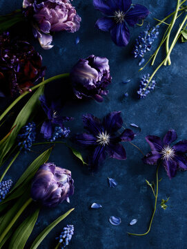 Purple and blue spring flowers forming a blooming floral arrangement on a blue background, symbolizing growth and beauty