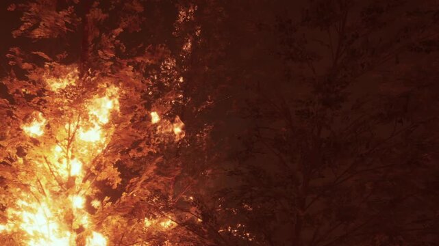 Bright flames consume trees in a forest, casting eerie shadows. The intense fire blazes against the night sky, showcasing natures destructive power and creating an unsettling atmosphere.