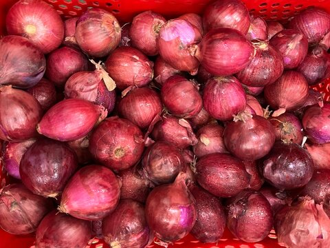 Fresh red shallots in a plastic crate, showing whole shallot bulbs with reddish-purple skins. Suitable for food, agriculture, cooking, Asian cuisine, Thai food, fresh produce, and food industry concep
