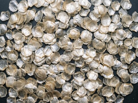 Overlapping translucent fish scale texture with iridescence for social media stories