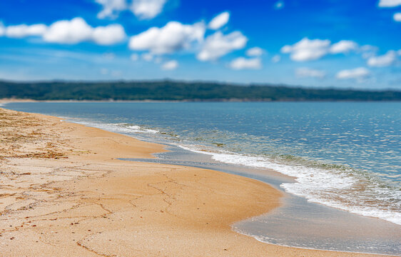 Sunny tropical sandy beach with gentle blue ocean waves and fluffy white clouds under a clear sky.