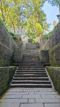 Vertical View of Mossy Stone Steps Surrounded by Trees 