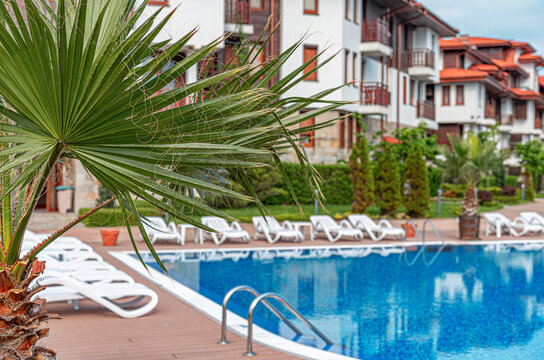 A tropical resort features a clear swimming pool with sun loungers and palm trees.