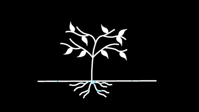 Animated young seedling white line icon. Sprout with leaves growing in soil animation. Agricultural plant cultivation. Save nature. Isolated element on dark background