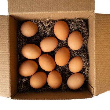 Plain, biodegradable, recyclable packaging concept.  Brown, paper box with natural, soft, clean, moss, padded protection for brown, organic eggs.