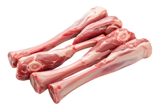Fresh raw lamb shanks isolated on transparent background