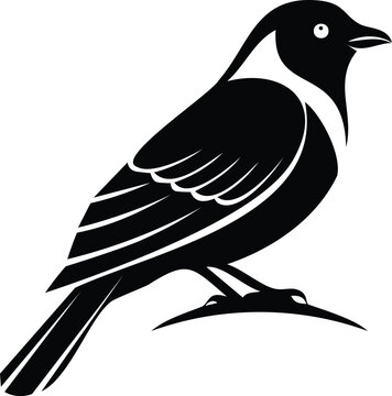 Simple black silhoutte of a small songbird perched on a branch