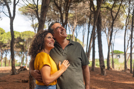 Mature couple embracing and looking up in a sunny pine forest