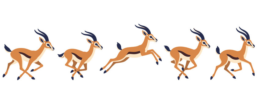 Gazelles running in a horizontal motion sequence
