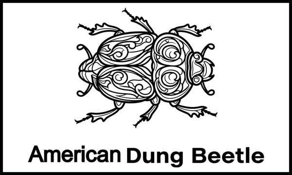 red and black cats . Zentangle patterned dung beetle vector graphic, decorative black and white line art insect illustration for adult coloring page and tattoo design
