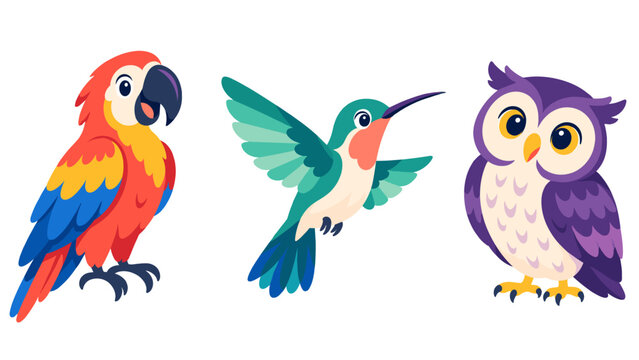 Cartoon parrot owl and flying hummingbird set