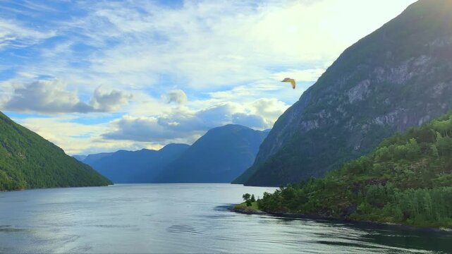 Seagulls flying over scenic fjord landscape in Hellesylt Norway with calm water and green mountains