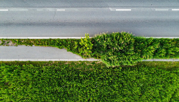 Sunlit tree standing between modern buildings in a quiet urban pedestrian space
静かな都市の歩行空間で建物の間に立つ木と夕日の光
