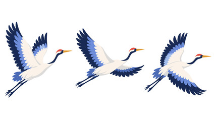 Fototapeta premium Flying cranes shown in three wing positions