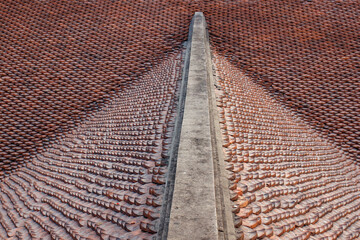 Close-up fragment of traditional tiled roof with a ridge at the Temple of Literature or Van Mieu in Hanoi, Vietnam. Tightly rows of reddish-brown ceramic small elements shaped like fish scales or fans © Вера Тихонова