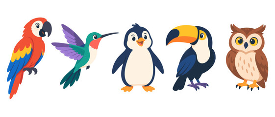 Fototapeta premium Cartoon bird set with parrot penguin toucan owl and hummingbird